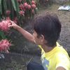 masus0903