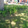 antnio.barbosa926