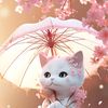 user281288446