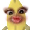 kopilate66