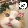 vinhngvn4
