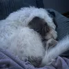 ella.i0w_