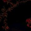 user6103815175345