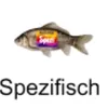 spezifisch56