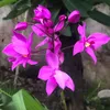 nhadatphilong79