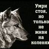 makidonli5