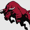 bura.bull30