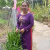 vn.hng1209