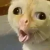 emifukada_00