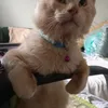 malousalvador6
