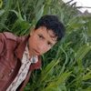 hashem.mansour86