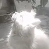 izayoi_rb