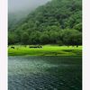omansalalah5921