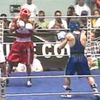 boxer202tiktok.ok