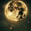 wahiba.yasser