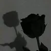 r811831