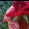 aeaea_78
