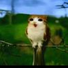 pandleta_k3