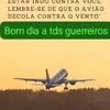 casca.de.bala.sos