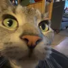 sillybillylily.69