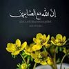 user54338211977783