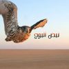 user5117243345161