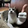kxndekidw