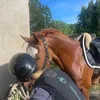agnessssandqvist