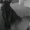 00.glzinho