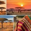 essenceafricaine