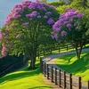 siham.siham2453
