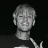 chico_van