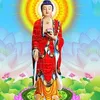 user8250107109062