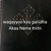 tegst.arsor