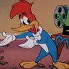 picapaunews