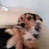 yuri.xizy