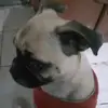 eliascastro5739