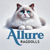 allureragdolls