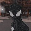 kayd3nzsq