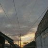 zaa_vi8