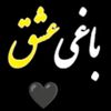 imtiaz.gull.gull