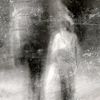 opyfy088