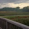 tiktoks_shit