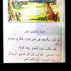 user9951534355759