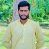 papo.dade.bhiveer