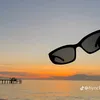 zxycelpalmos