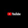 yt.10k1