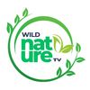 Wild Nature TV