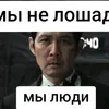Timaedits