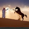 nazar.saeed7